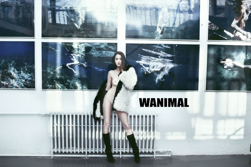 ڹ WANIMALٷƷ ͼ 20181¸߶ [77P] () 1ҳ 