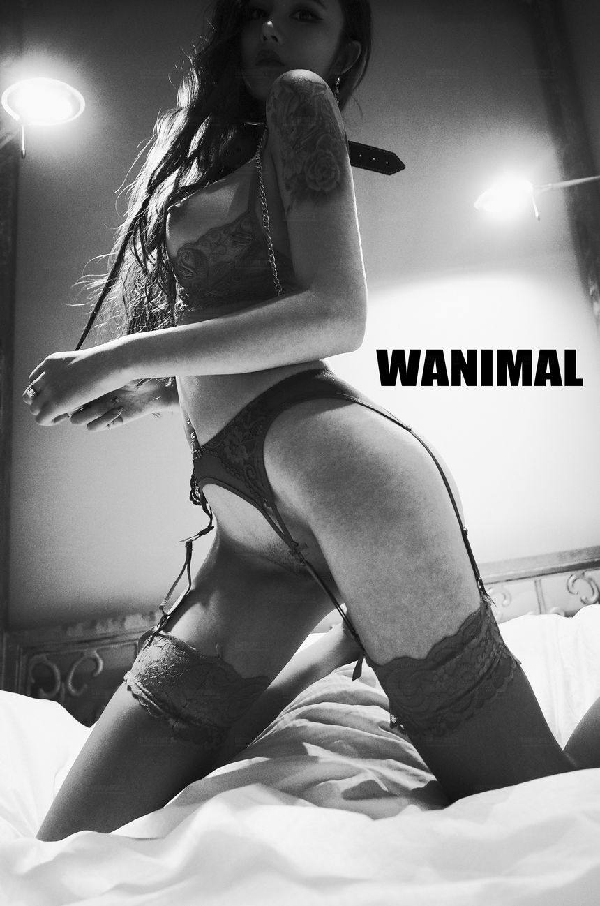 WANIMALٷƷ ͼ[106P] 201711¸߼ ڹ 4ҳ 